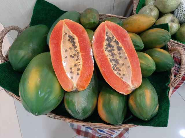 Red Lady Papaya 1 PCS.