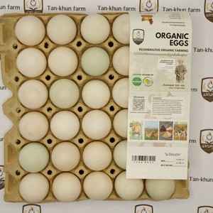 Organic duck eggs size #M (Tray)