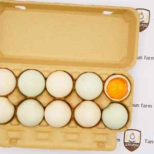 Organic duck eggs size #XL (Box)