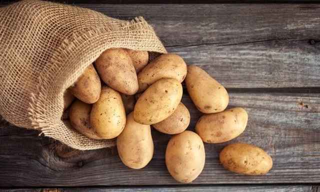 Organic Potato