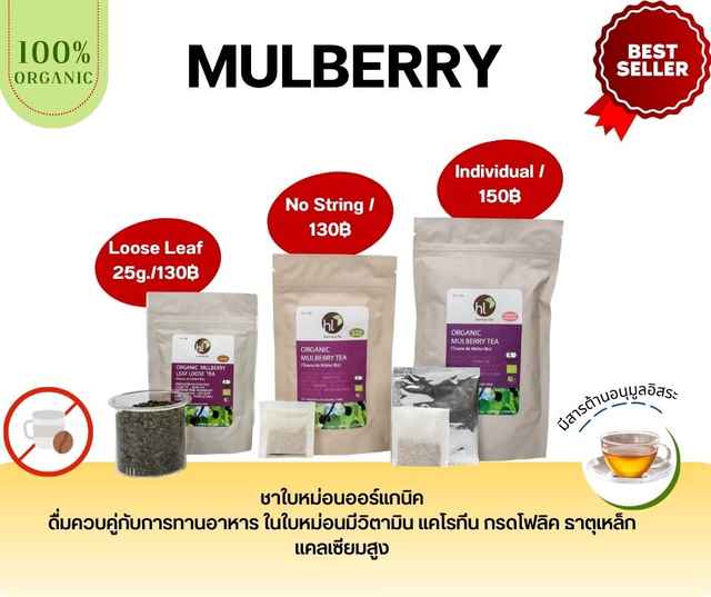 Organic Mulberry Tea No string