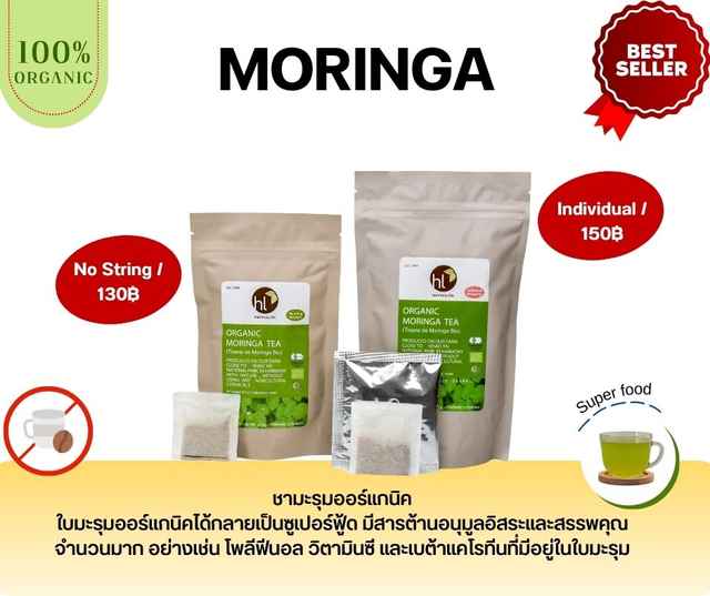 Organic Moringa Tea No String
