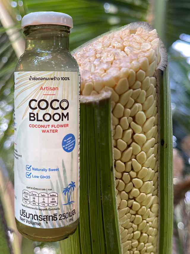 COCOBLOOM coconut flower water