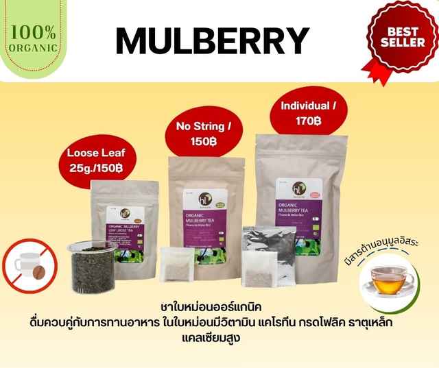 Organic Mulberry Tea No string