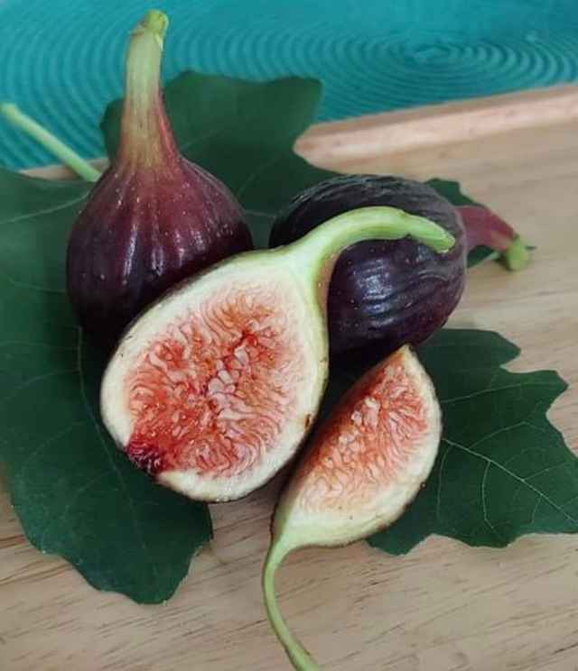 Fresh Fig