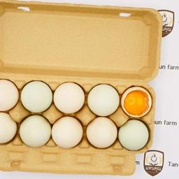 Organic duck eggs size #XL (Box)