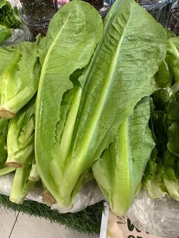 Romaine lettuce