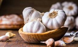 Organic Garlic