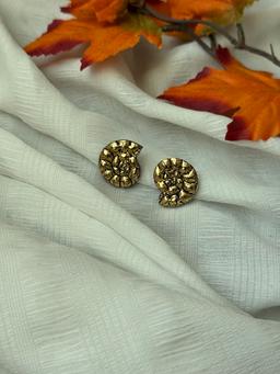 Mismatch Sea shells 