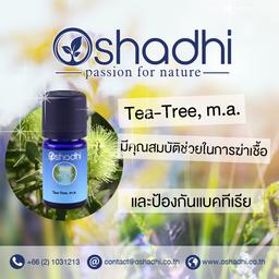 Oshadhi Tea-Tree, m.a. Essential Oil