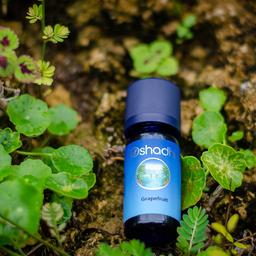 Oshadhi Grapefruit Essential Oil