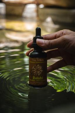 Adaptogenic Reishi Mushroom Potion