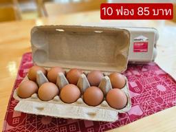 Organic Chicken Eggs