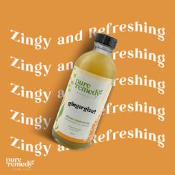 Organic Kombucha | Ginger Gize!