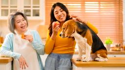 Pet Care & Others