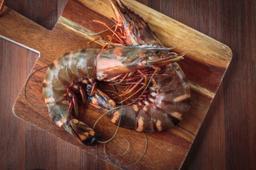 Wild Caught Tiger Prawn