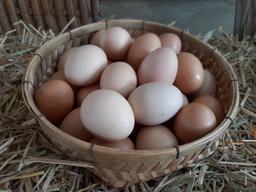 Nong Wa Organic Egg Size M