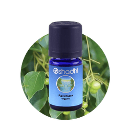 Organic Essential Oil - Ravintsara