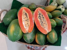 Red Lady Papaya >10kg