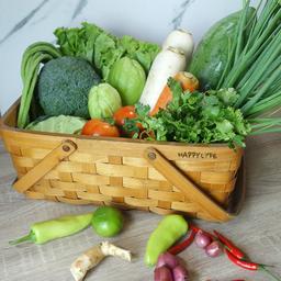 Organic Vegetable Set