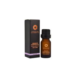 Lavender Essential Oil