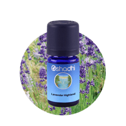 Lavender Highland
