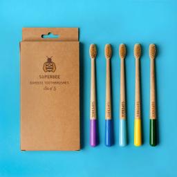 5 Biodegradable Bamboo Toothbrushes