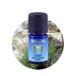 Organic Essential Oil – Lavender (Spike Lavender) organic