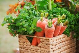 Organic Salad Box