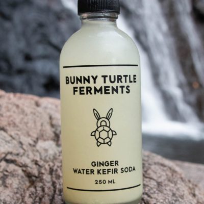BT Ferments Ginger Water Kefir Soda Waterfall